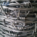 Cheap Electro Galvanized Double Strand Barbed Wire Fencing Prices Manufacturer Offer